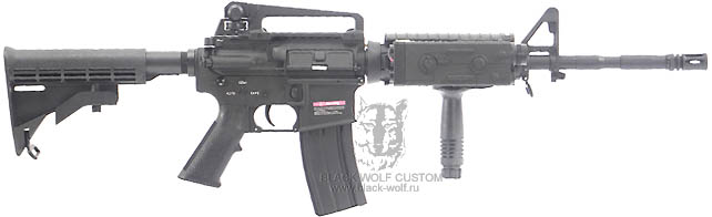 AGM M4A1 RIS общий вид с права