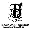 Black Wolf Custom
