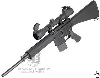 Bushmaster V Match Carbine. G&P Bushmaster Kit For M4A1