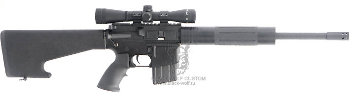 Diemaco 5.56mm C8CT (custom Tactical)