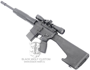 Diemaco 5.56mm C8CT (custom Tactical)