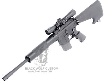 Diemaco 5.56mm C8CT (custom Tactical)