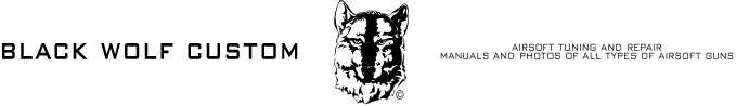 Black Wolf Custom