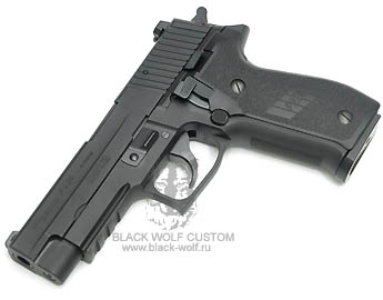 SIG P226 Tanaka Works